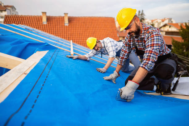 Best Roof Installation  in Berryville, TX