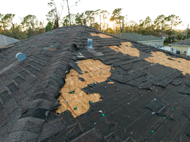 Best Asphalt Shingle Roofing  in Berryville, TX